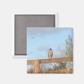Aimant Hawk (Recto/Verso)