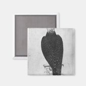Aimant Hawk à portée de main (Recto/Verso)