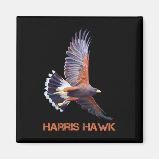 Aimant Hawk Kamala Harris, Président (Devant)