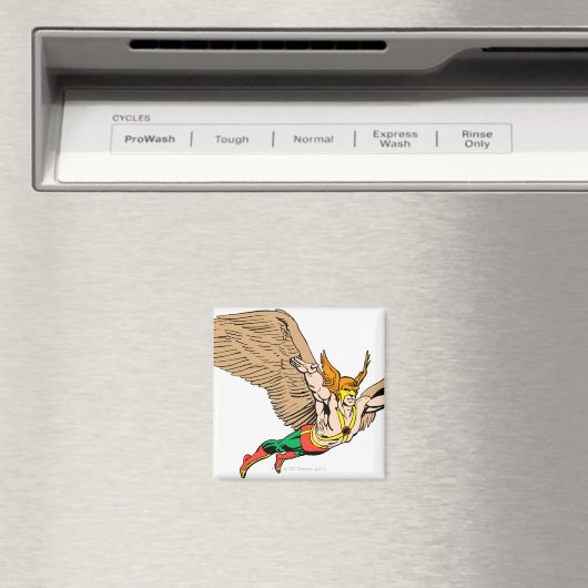 Aimant Hawkman (In Situ (Lave-vaisselle))