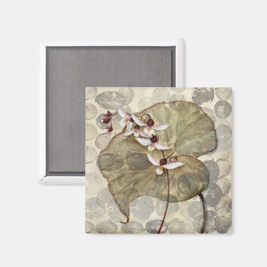 Aimant HAZ24 Amazonia 2.tif (Recto/Verso)