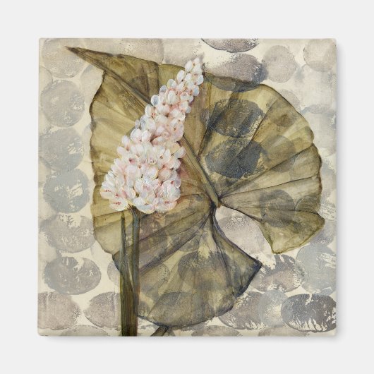 Aimant HAZ25 Amazonia 3.tif (Devant)