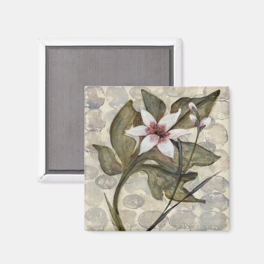 Aimant HAZ26 Amazonia 4.tif (Recto/Verso)