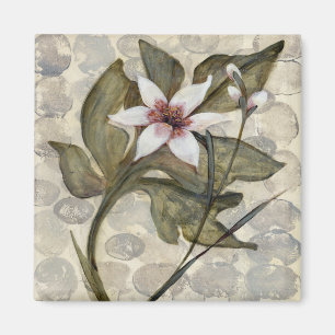 Aimant HAZ26 Amazonia 4.tif