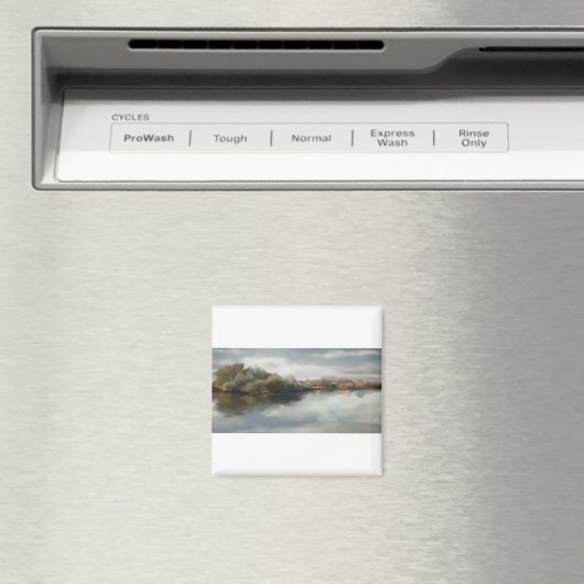 Aimant HAZ93 River Fields.tif (In Situ (Lave-vaisselle))