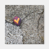 Aimant Heart Rock et Fossil Rock (Devant)