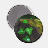 Aimant Hearts of Ivy (Recto/Verso)