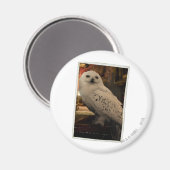 Aimant Hedwig 3 (Recto/Verso)