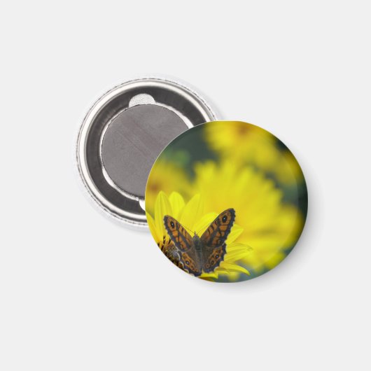 Aimant Hélénium de marguerite jaune (Recto/Verso)