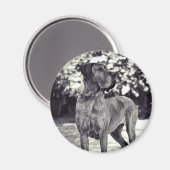 Aimant Helia (Recto/Verso)