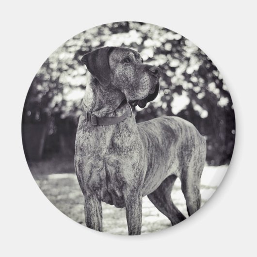 Aimant Helia (Devant)