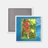 Aimant Heliconia rostrata (Recto/Verso)