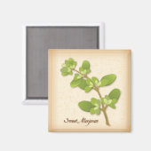 Aimant Herb de Sweet Marjoram (Recto/Verso)