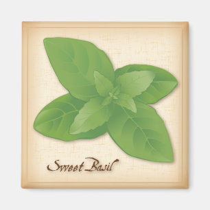 Aimant Herbe Basil douce