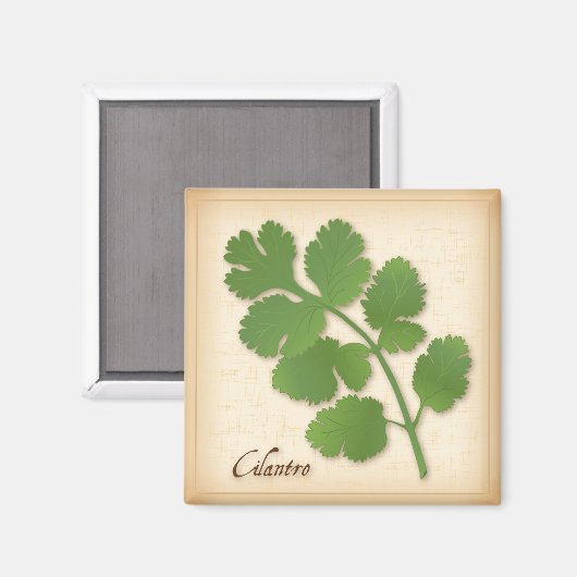Aimant Herbe Cilantro (Recto/Verso)