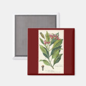 Aimant Herbes alimentaires vintages Épices, Cloches Plant (Recto/Verso)