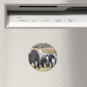 Aimant Herbes d'éléphants d'Afrique (In Situ (Lave-vaisselle))