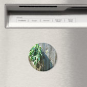 Aimant Herbes vertes botaniques à grains de bois affaissé (In Situ (Lave-vaisselle))