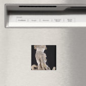 Aimant Hercules combattant l'hydre de Lérnaean (In Situ (Lave-vaisselle))