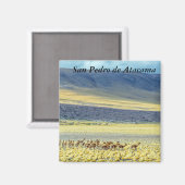 Aimant Herd of Vigognes (Recto/Verso)