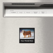 AIMANT HEREFORD BOEUF VACHE : PASTEL ART (In Situ (Lave-vaisselle))