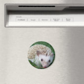 Aimant Hérisson (In Situ (Lave-vaisselle))