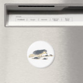 Aimant Hérisson Yoga, Chaturanga (In Situ (Lave-vaisselle))