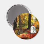 Aimant Hermes le Maltais (Recto/Verso)