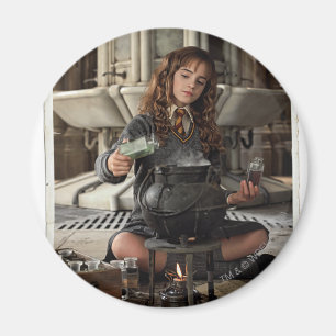 Aimant Hermione 20