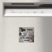 Aimant Hermitage - Fudge (In Situ (Lave-vaisselle))