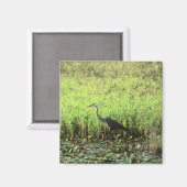 Aimant Heron 6449 (Recto/Verso)