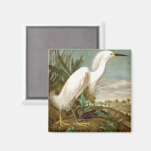 Aimant Héron blanc par John James Audubon (Recto/Verso)