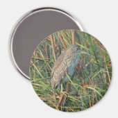 Aimant Héron de nuit (Recto/Verso)