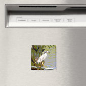 Aimant Héron de nuit à couronne jaune (In Situ (Lave-vaisselle))