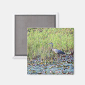 Aimant Heron P6450 (Recto/Verso)
