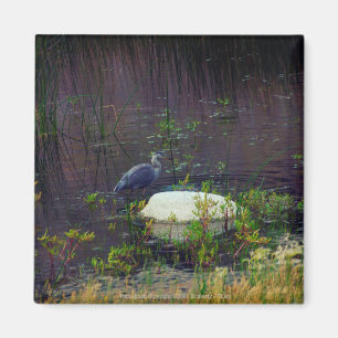 Aimant Heron P9687