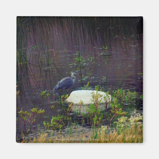Aimant Heron P9687 (Devant)