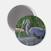 Aimant Heron Splash (Recto/Verso)