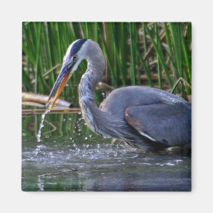 Aimant Heron Splash
