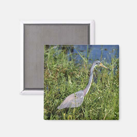 Aimant Héron tricolore (Recto/Verso)