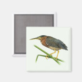 Aimant Heron Vert (Recto/Verso)
