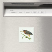 Aimant Heron Vert (In Situ (Lave-vaisselle))