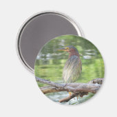 Aimant Heron vert (Recto/Verso)
