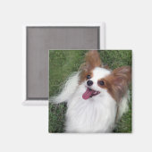 Aimant Hershey Kiss Hero Kennel Merchandise (Recto/Verso)