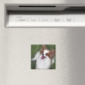 Aimant Hershey Kiss Hero Kennel Merchandise (In Situ (Lave-vaisselle))