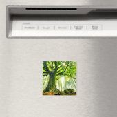 Aimant Hêtre de Ponthus (In Situ (Lave-vaisselle))