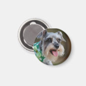 Aimant Heureux Chiot Schnauzer Miniature (Recto/Verso)