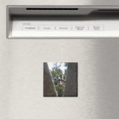 Aimant Hey là Giraffe (In Situ (Lave-vaisselle))