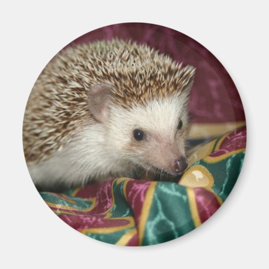 Aimant hh standard (Devant)