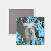 Aimant hi-fi llama. (Recto/Verso)